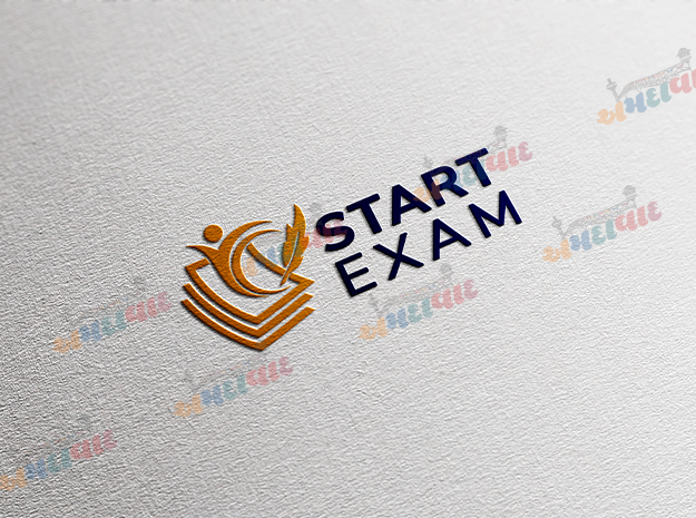 Front-end development company